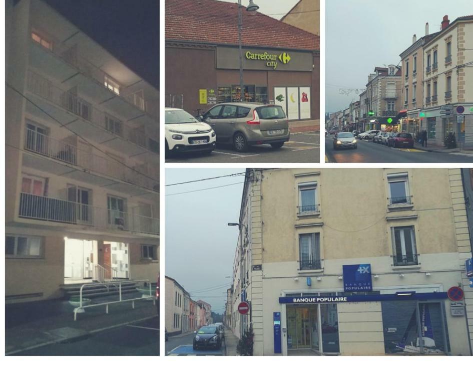 Le Cottage Roannais رْوان المظهر الخارجي الصورة